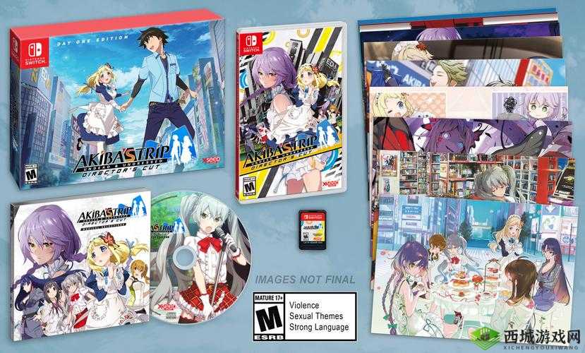 秋叶原之旅2国王衣服获得方法攻略