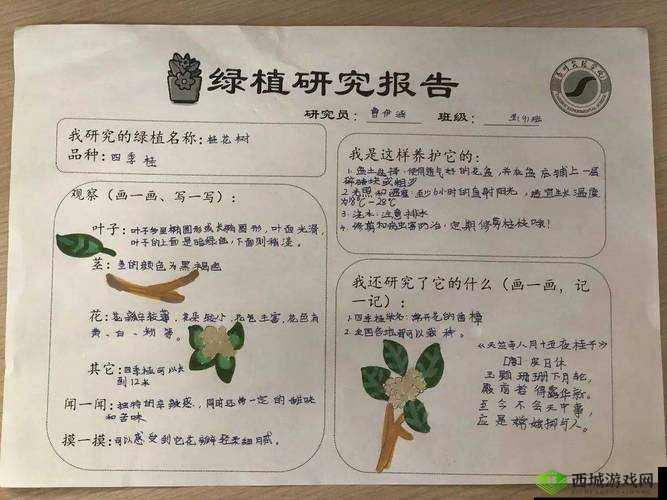 嫩草研究一二三四五六：相关内容解析