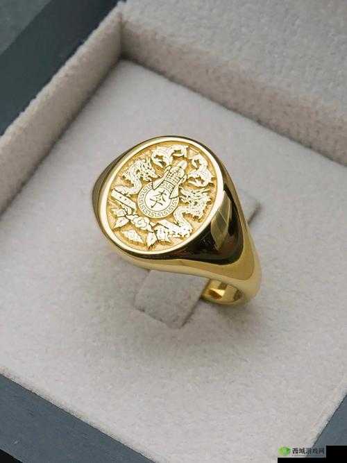 天国寻宝之旅:金戒指与图章戒指的绝佳获取方法揭秘