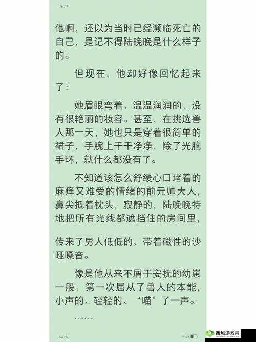 获得超级胬肉系统小说陆晚晚:逆天改命玩转都市