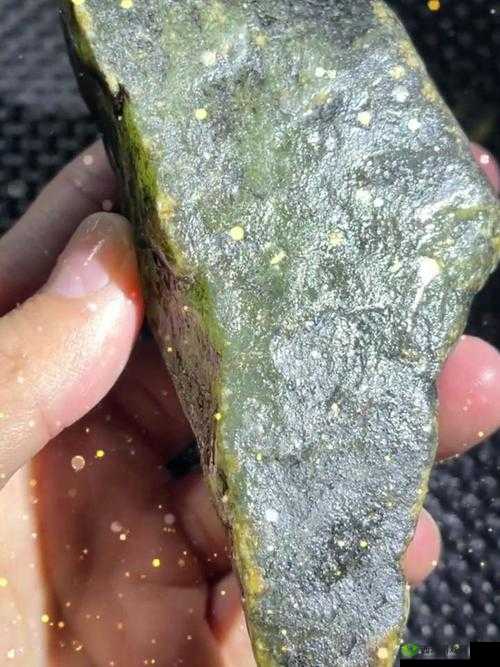 中国的女孩去到 t0lie43:开启未知之旅