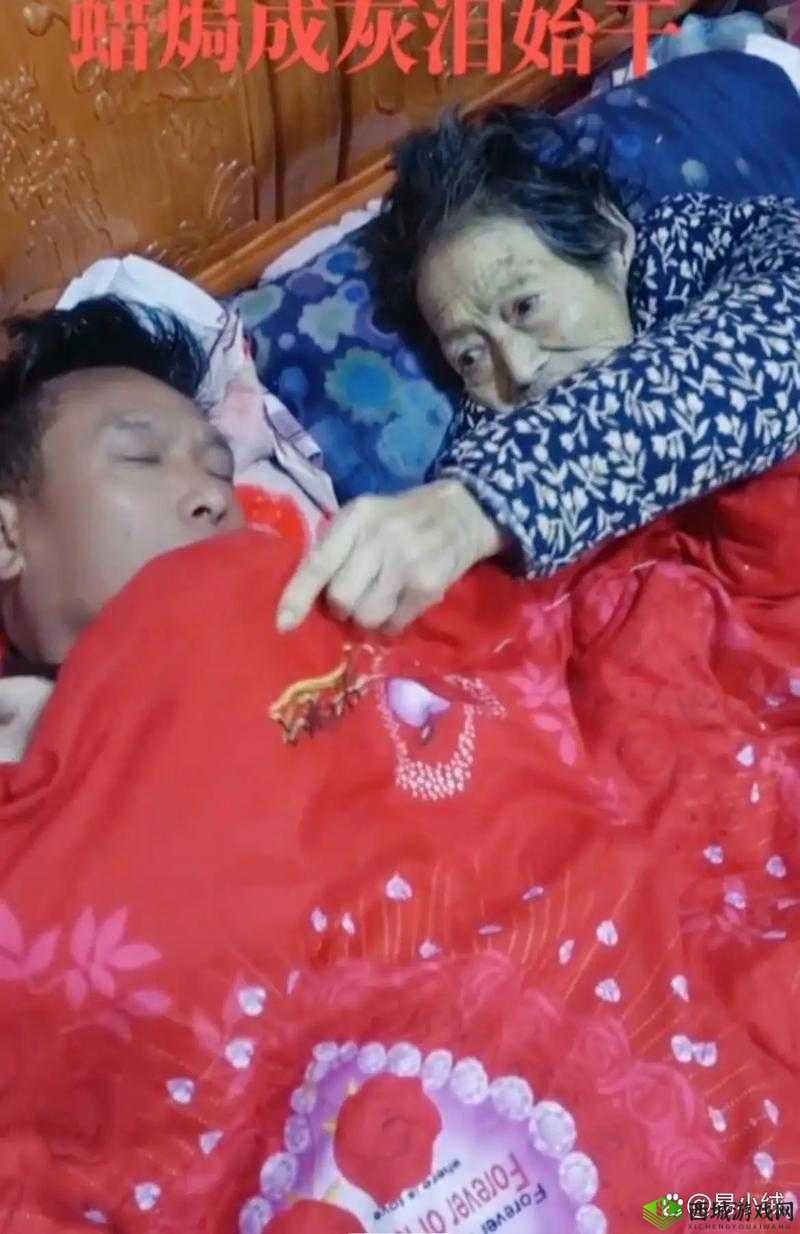 男的和女的打牌不盖被子:牌局背后的秘密