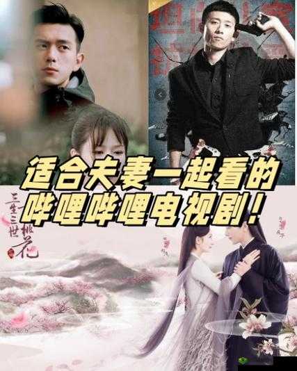 适合夫妻一起看的哔哩哔哩电视剧：温馨之选