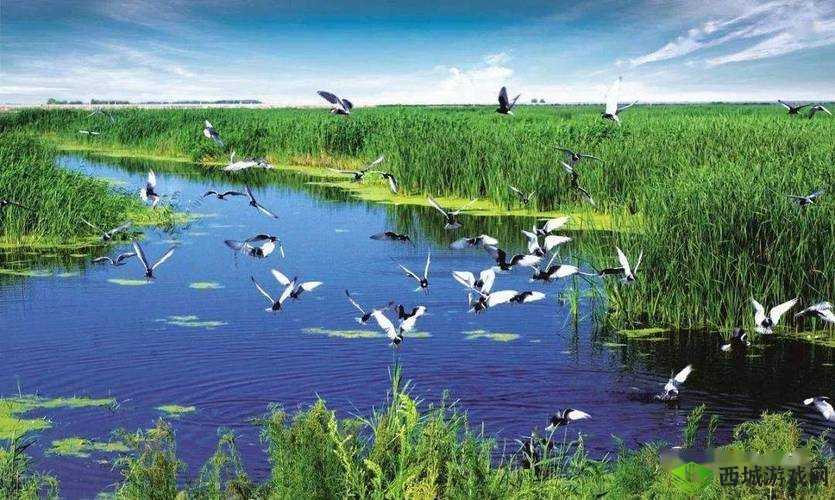 啊也啊也嘟噜嘟噜嘟噜的奇妙之旅