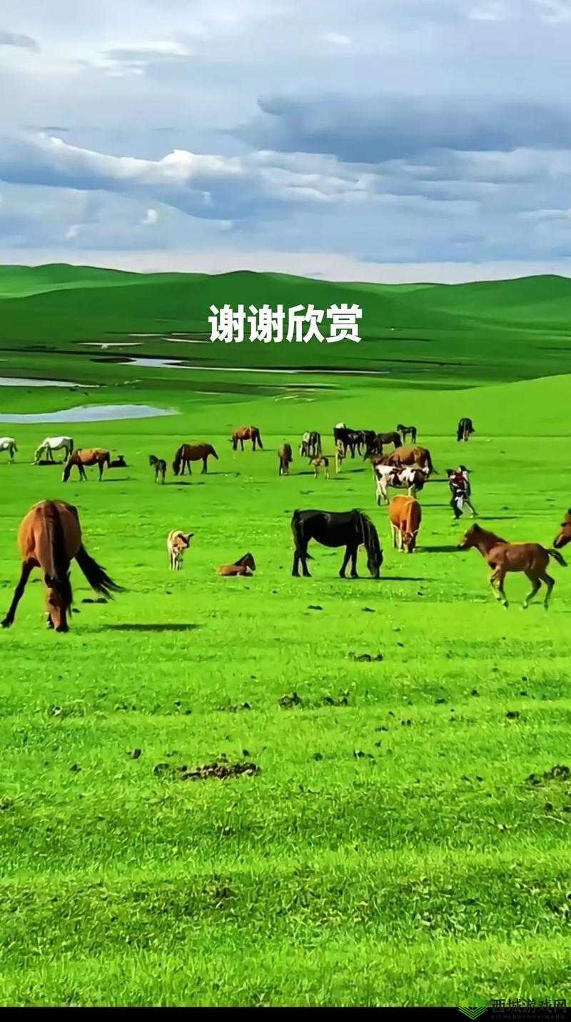 66 成品人视频入口:精彩无限等你来