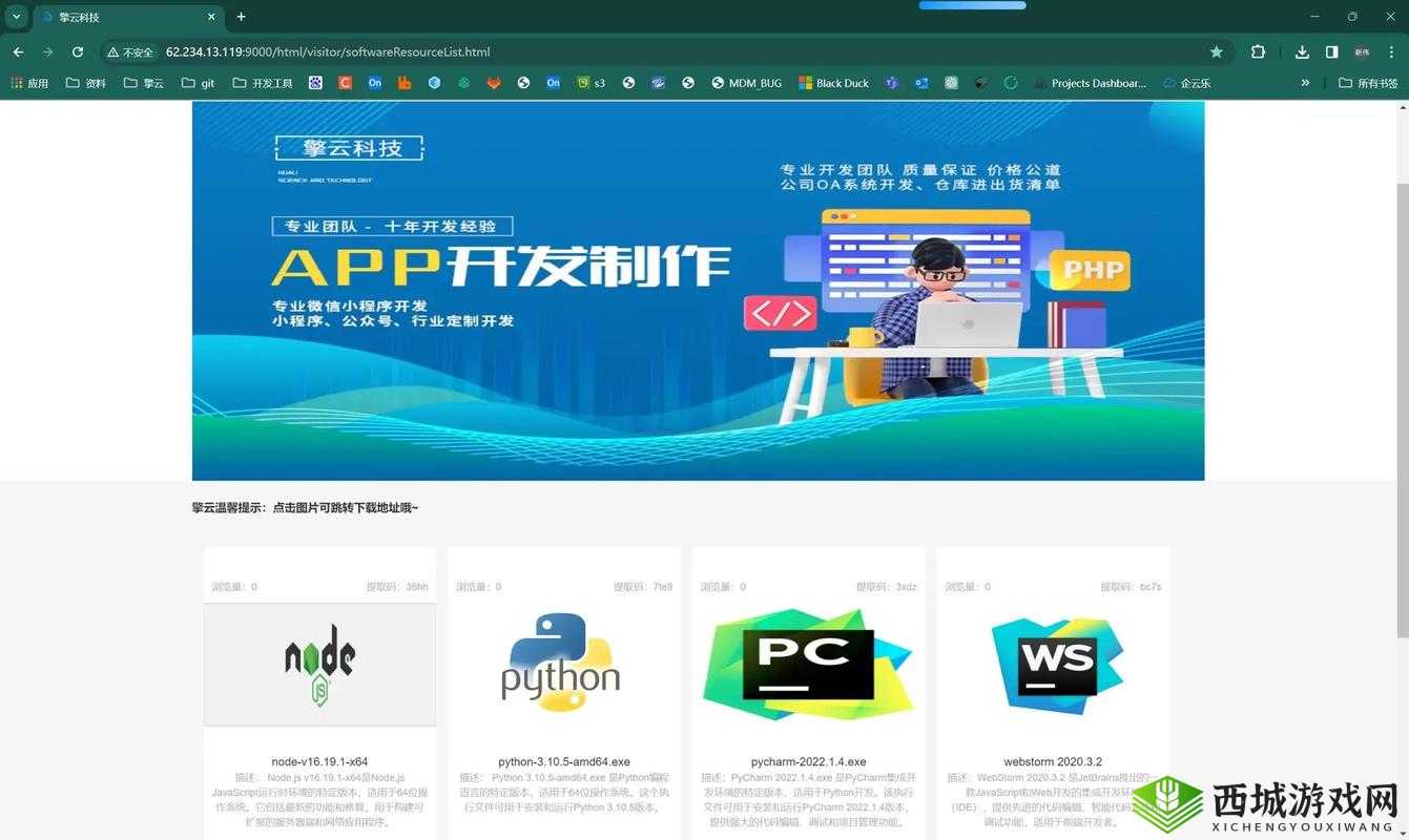 Java 成品网站不光有视频还有直播:全新体验