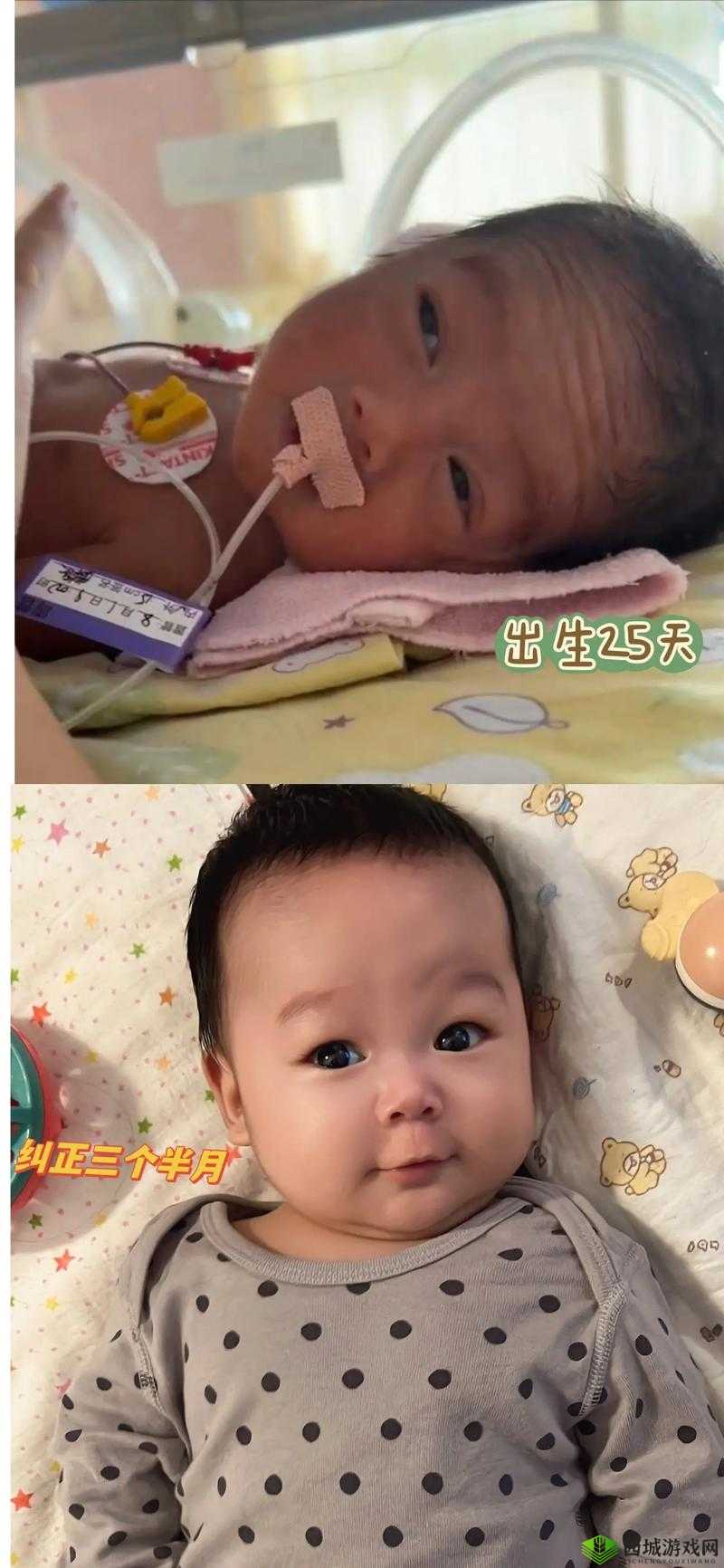 宝宝我求你,我下我的 B 相关内容探讨