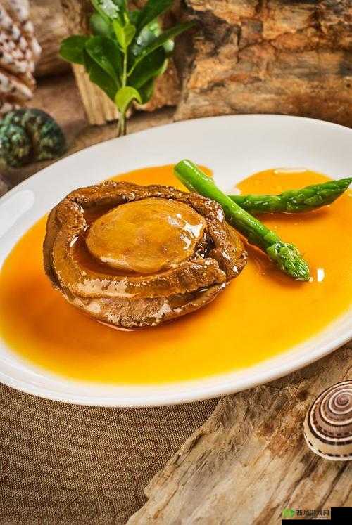 丰满鲍鱼 20p：极致美味的鲍鱼盛宴