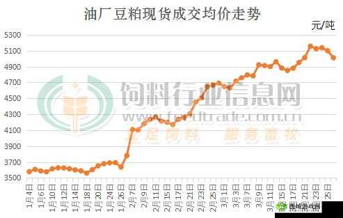 大豆行情网免费 v:及时行情分析,助你掌握市场先机