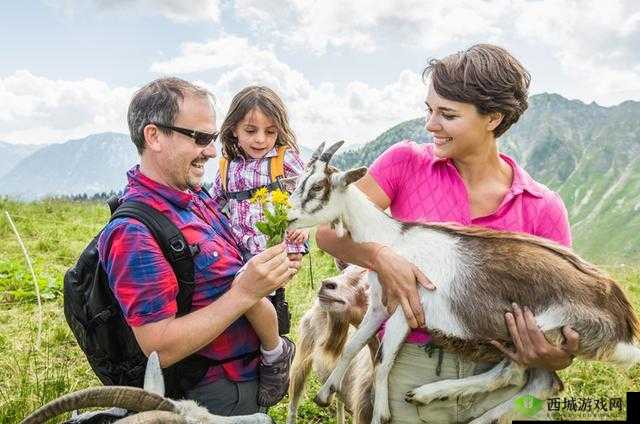 人物与动物交互：爱与陪伴的奇妙旅程
