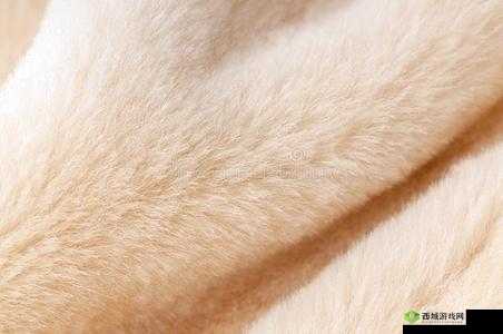 AAAA 级毛皮最火但更新太慢：亟待加速更新