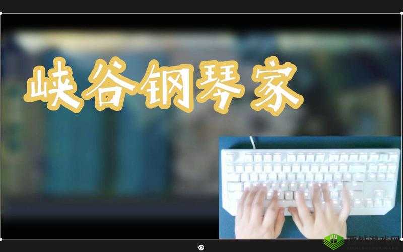 探究峡谷钢琴家所表达的含义及其背后的故事