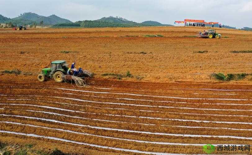 开垦母亲肥沃的土地叫什么：探寻背后深意