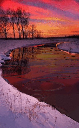 黄台中心 2023 下：发展新动态