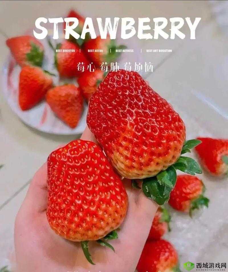 蜜丝婷大草莓 VS 小草莓:谁更胜一筹