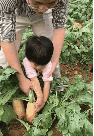 拔萝卜生孩子蹲球:无码激情挑战