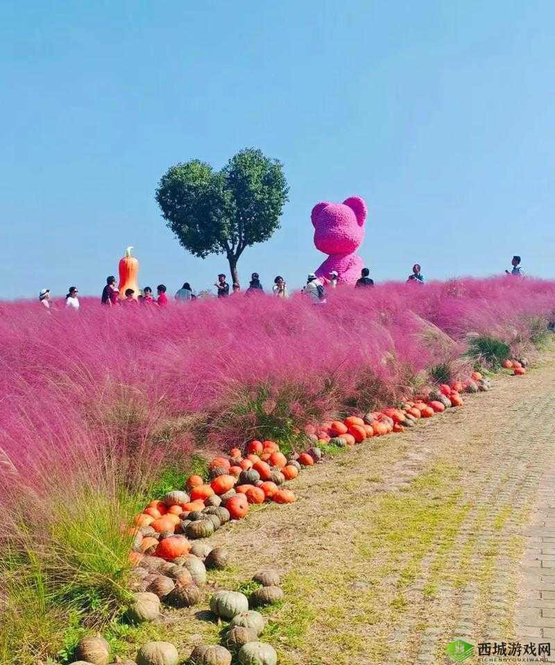 粉色 ABB 九幺：独特魅力展现