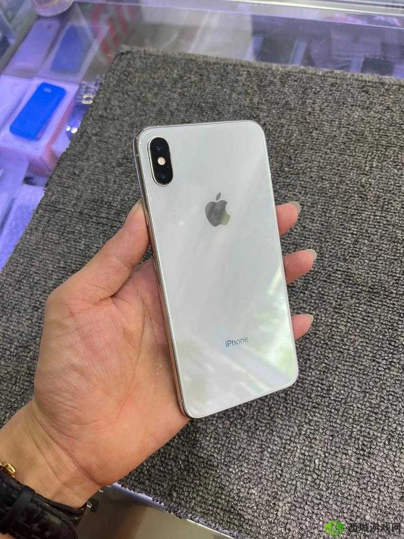 欧美 IPHONEXSMAX 免费：你敢相信吗