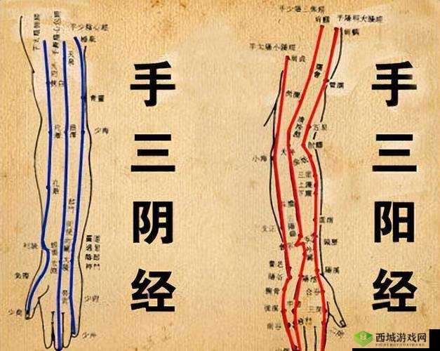 江湖气息紊乱与经脉冲穴异常的应对之策：探究内外调和的自然疗法