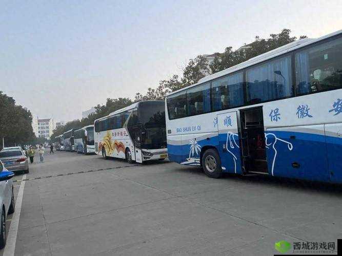 回乡大巴车最后一排：拥挤中的宁静