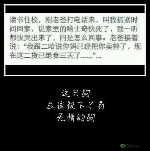 正在玩命加载中：请耐心等待