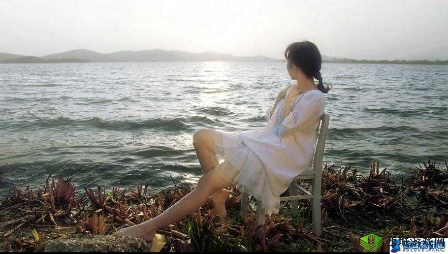 HP 公交车灌溉系统流畅升级新进展