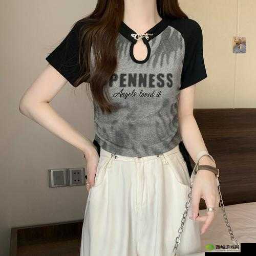 大码 HIPHOP 欧美胖 MM 短袖:时尚潮搭必备