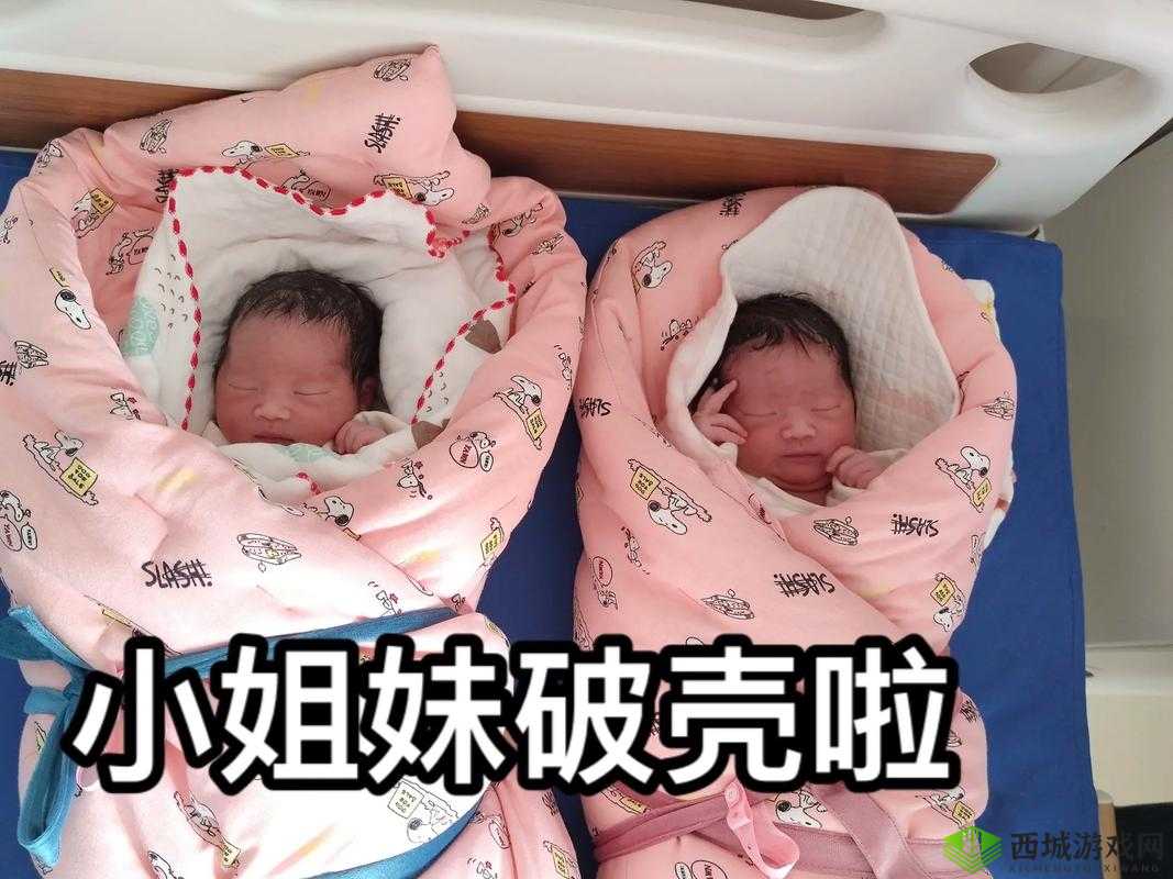 宠溺无边 1v3 双胞胎的极致宠爱故事