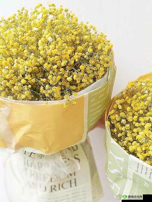 俄罗斯学院满天星：独特的存在