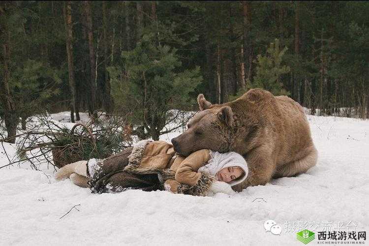 人与兽:爱与冲突的故事