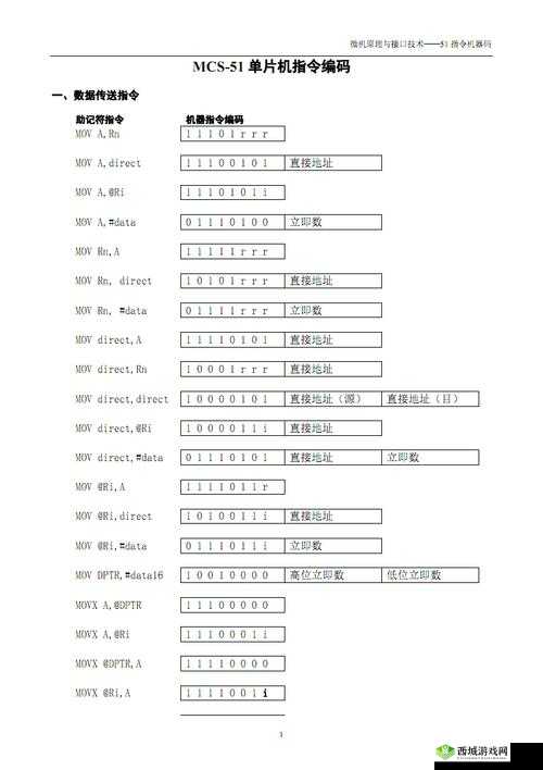 51无人区码一码二码三码区别-深度解析其不同