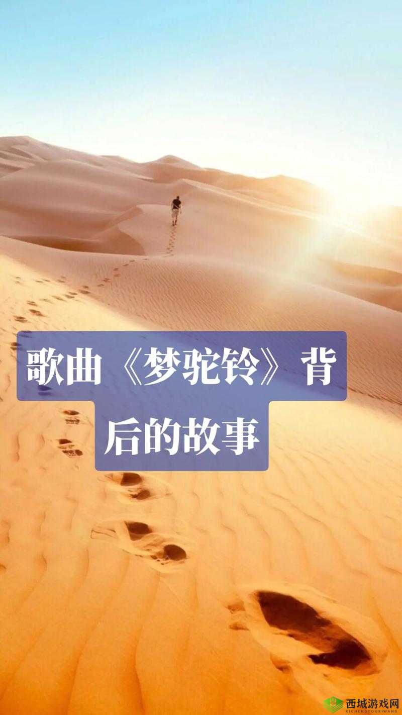 分享耻辱保险箱密码背后的那些不为人知的故事