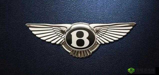 wwwwwxxxxxx69：独特的标识组合