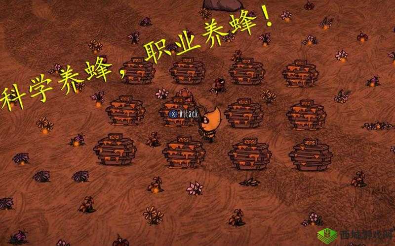 饥荒世界里探寻获取蜂蜜的巧妙方法和神秘途径全攻略