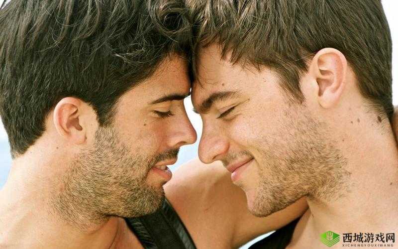 男生和男生一起差差差的视频 30 分钟：激情燃烧的兄弟情