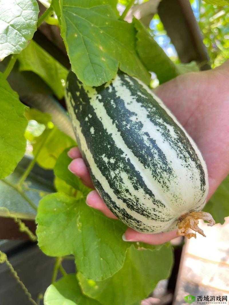 91吃瓜中心-吃最新最火的瓜之每日精选