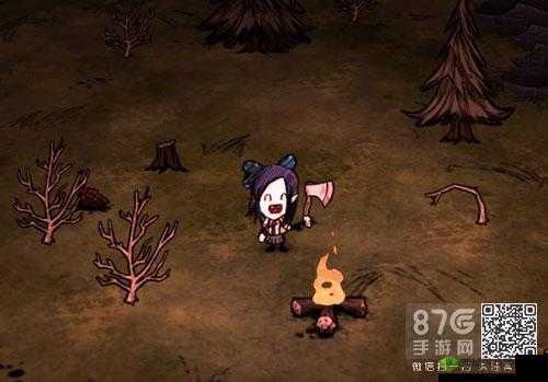 饥荒黏糊虫效用揭秘与实用代码指南