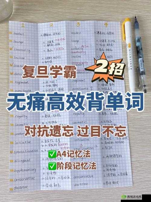 学霸的大紫根上背单词：提高学习效率的神奇方法