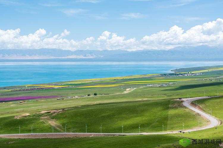 探寻神秘空白秘籍的奥秘:它究竟有何神奇用途