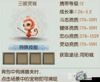诛仙手游眼灵猴全方位解析：宠物属性获取指南及培养攻略