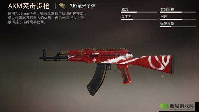 深入剖析和平精英 MK12 枪械特性与优势解读