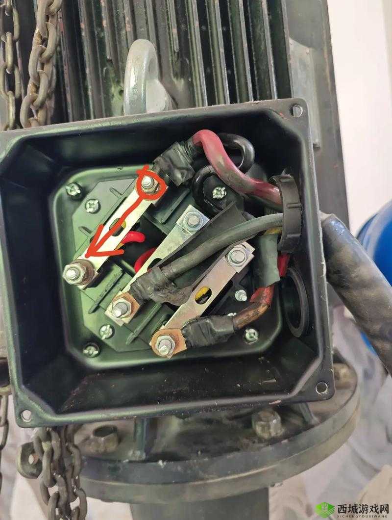 冰原守卫者中空壶无法灌水的原因究竟是什么令人费解