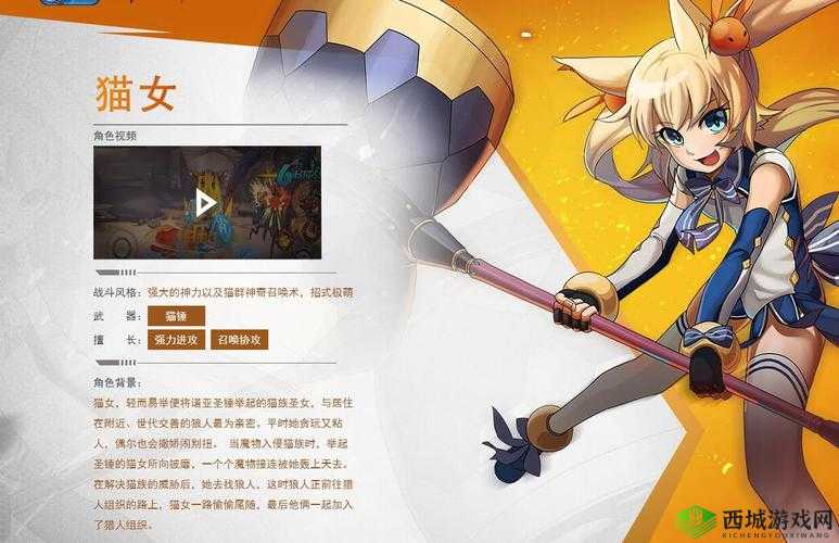 时空猎人猫女技能深度解析：搭配推荐与操作指南