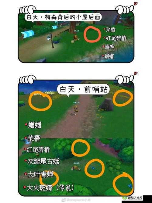 摩尔庄园蜜蜂捕捉全攻略 掌握操作方法与技巧轻松得手