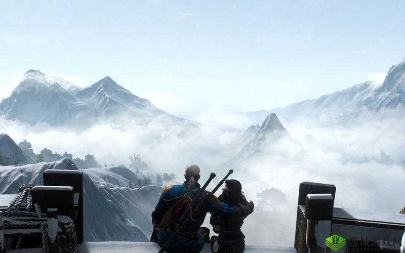 探索巫师 3 中最后的愿望任务完美达成之法