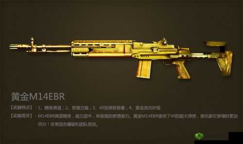 CF手游M14EBR迷彩怎么样？M14EBR属性评测，全新武器评测大揭秘