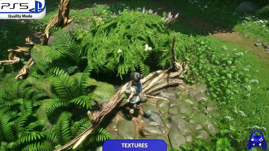 Xbox 高清视频线：畅享高清画质