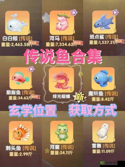 摩尔庄园手游攻略：获取特殊鱼饵的独特方法