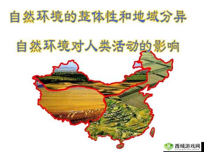 视频态度转变背后的原因:认知失调与信息环境的影响