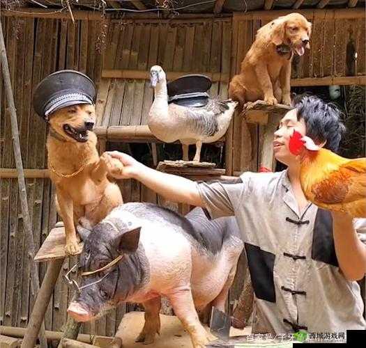 人与畜禽一 CORPORATION：关于它的探讨